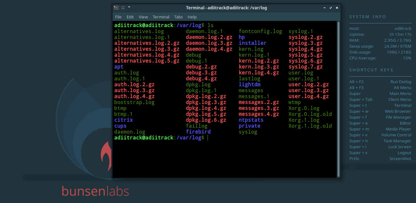 logging in the Linux system