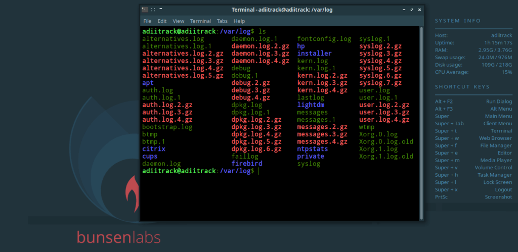 logging in the Linux system